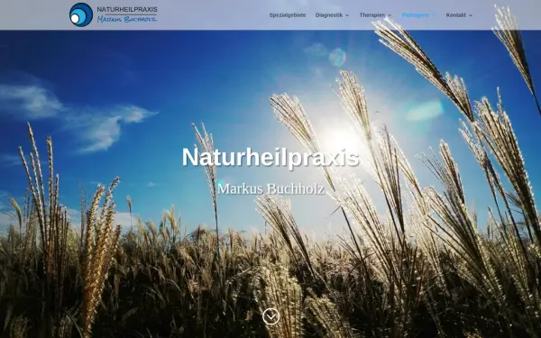 naturheilpraxis-markusbuchholz.de