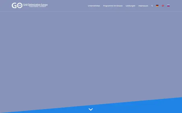 grid-optimization-europe.com