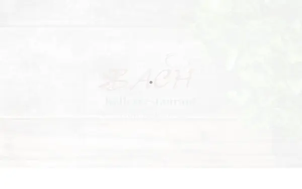 bach-1.de