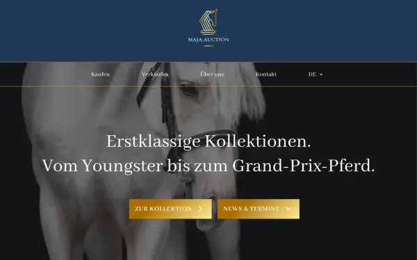 maja.auction