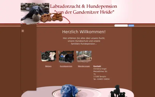 www.bakira-labrador.de