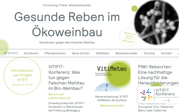 vitifit.de