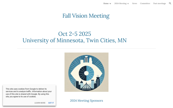 www.opticafallvisionmeeting.org