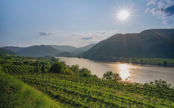 schoeneerde.at