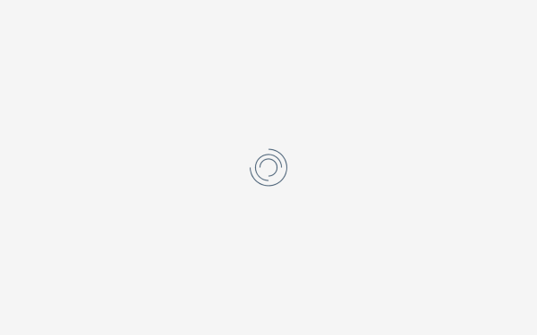 geogroup.de