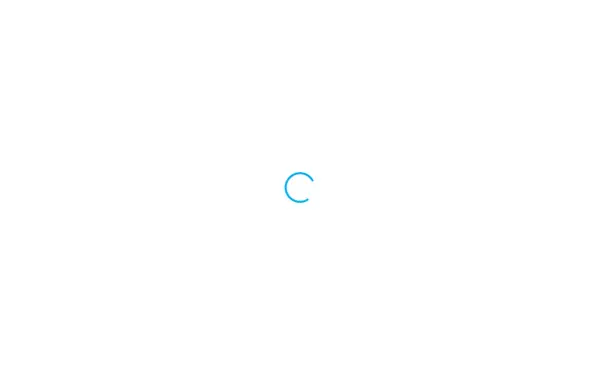 net-fi.com
