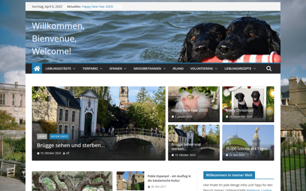 www.michaela-flint.de