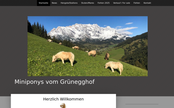 www.miniponysgruenegg.at