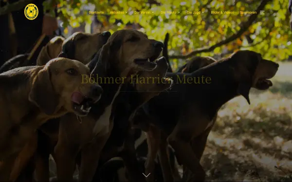 harrier-meute.de