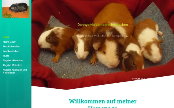 dannys-heidemeerschweinchen.de