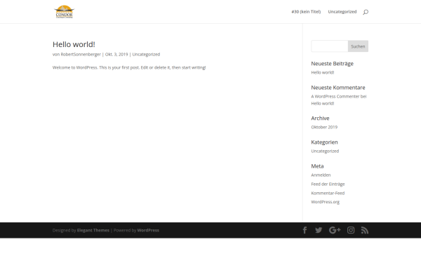 condor-consulting.de