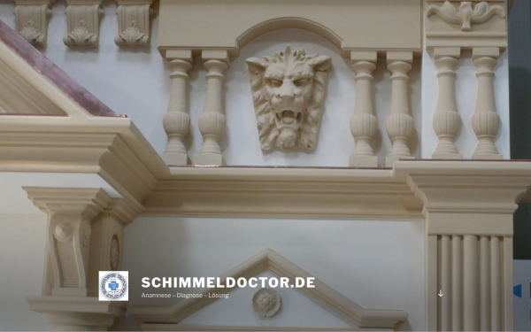 schimmeldoctor.de