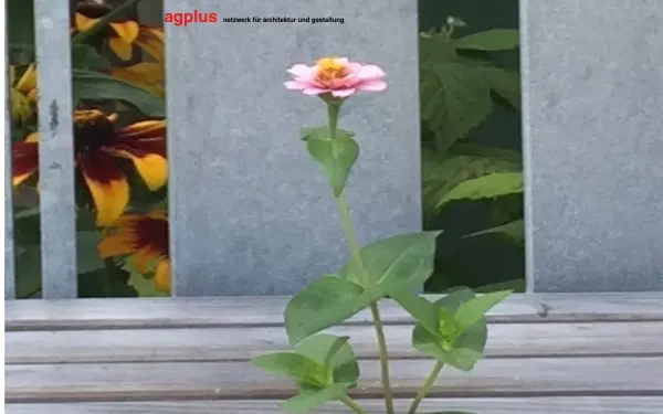 www.agplus.de