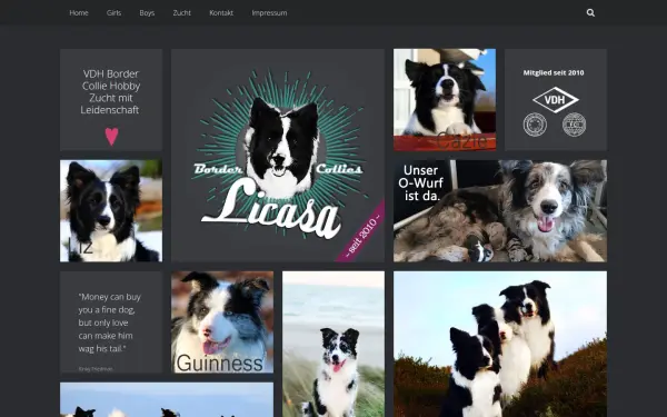 licasabordercollies.com