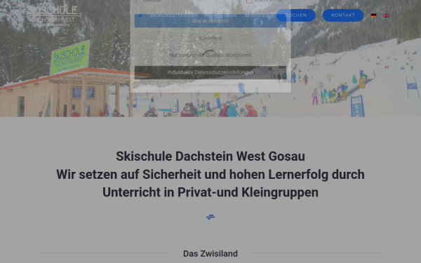 skischule-dachstein.com