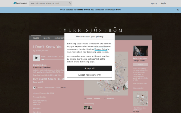 tylersjostrom.bandcamp.com