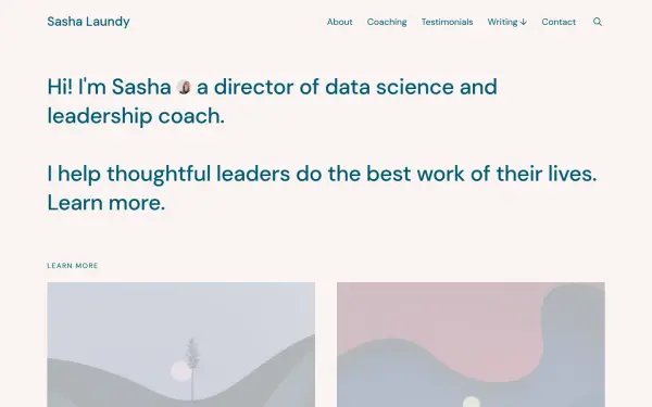 sashalaundy.com