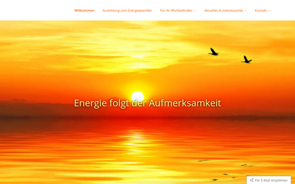 www.nemei.de