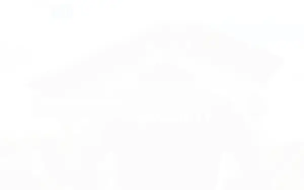 hallmann-sicherheitsdienst.de