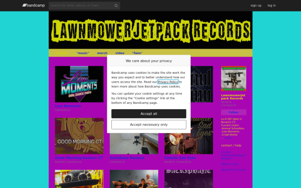 lawnmowerjetpackrecords.bandcamp.com