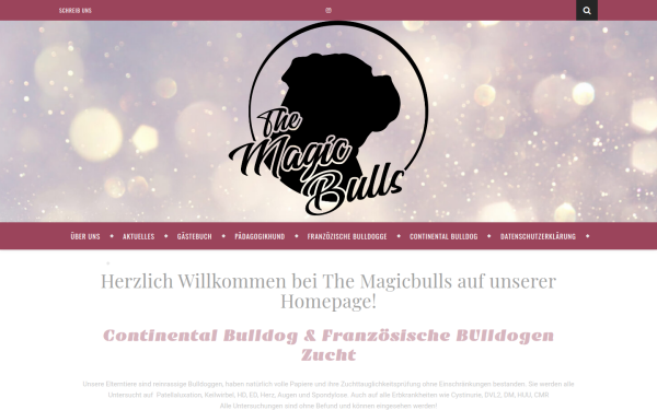 magicbulls.de