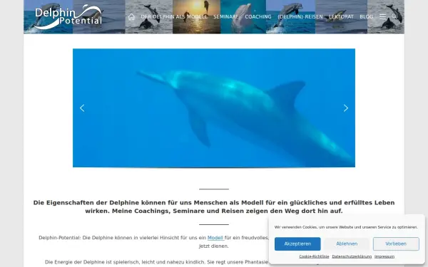 delphin-potential.de