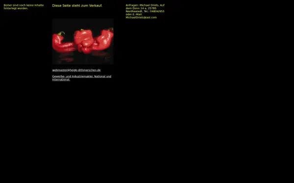 heide-dithmarschen.de