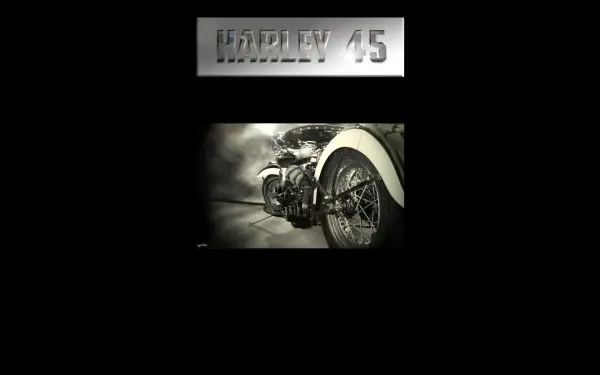 harley45.de