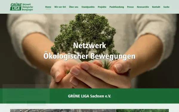 www.grueneliga-sachsen.de