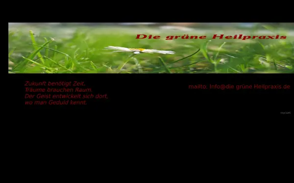 die-gruene-heilpraxis.de