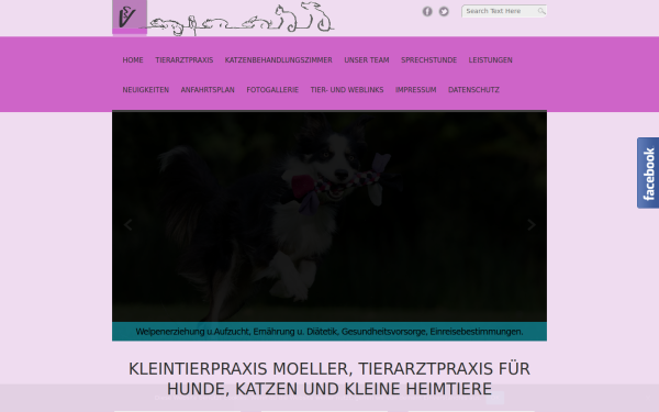 moeller-vet.de