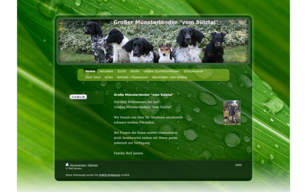 www.gmvomsuelztal.de