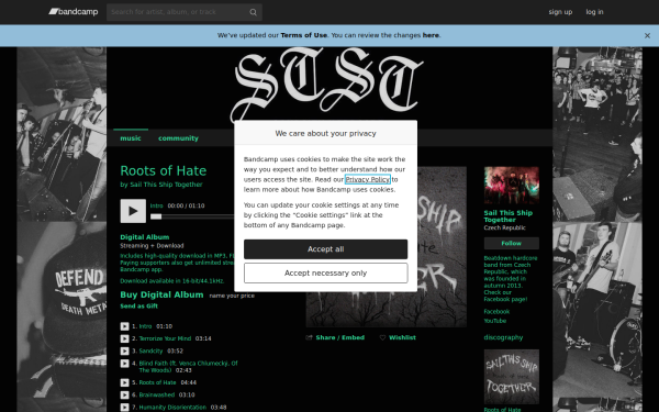 sailthisshiptogethercrew.bandcamp.com
