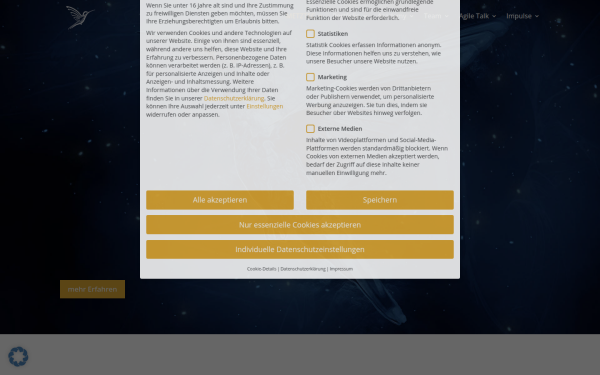 metztec-management.de