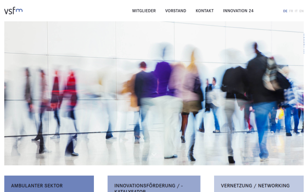 www.vsfm.info