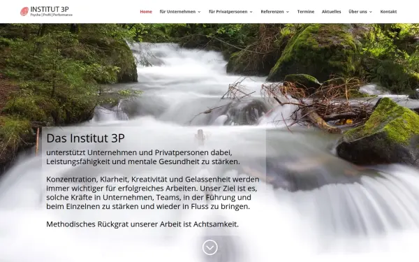 www.institut3p.de
