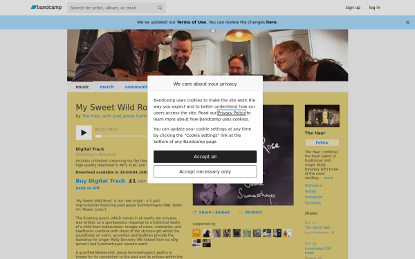 thehaar.bandcamp.com