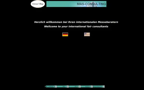 mas-consulting.de
