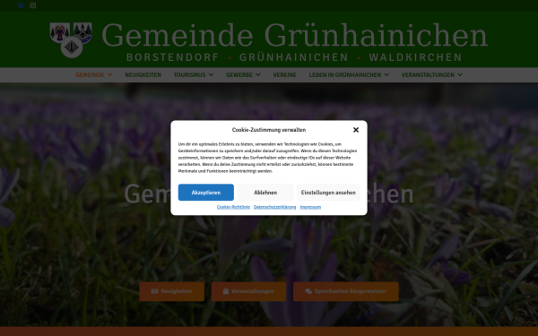 gruenhainichen.com