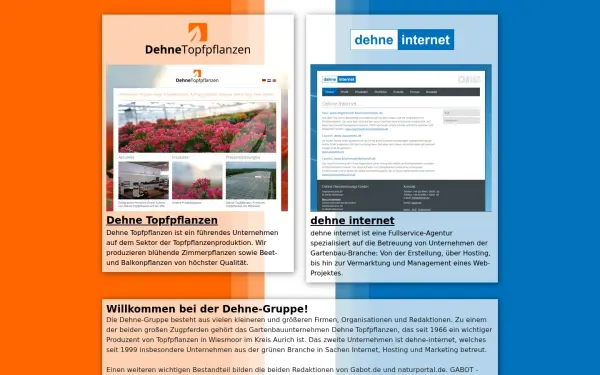 www.dehne.de
