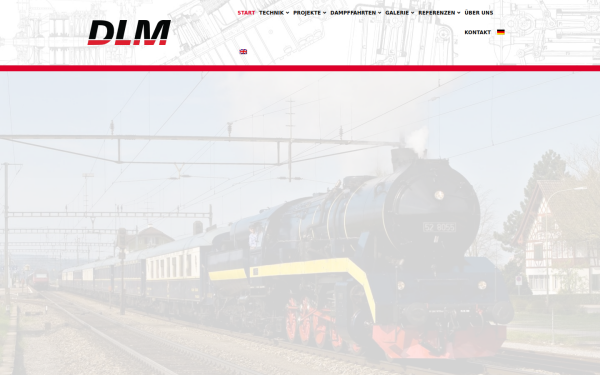 dlm-ag.ch