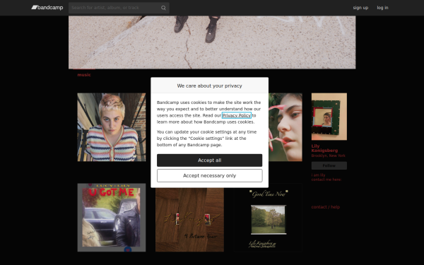 lilykngsbrg.bandcamp.com