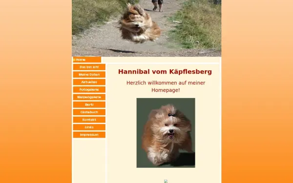 havaneser-hannibal.de