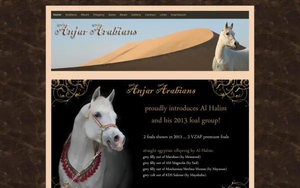 anjar-arabians.de