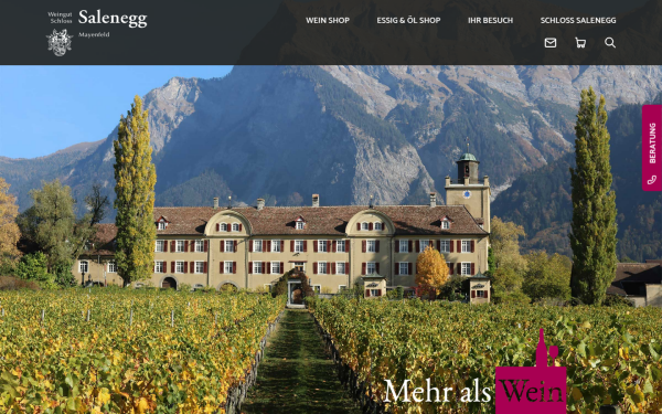 www.schloss-salenegg.ch