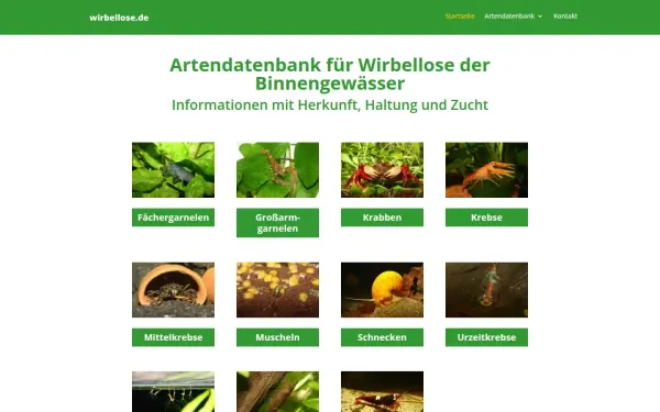 www.wirbellose.de