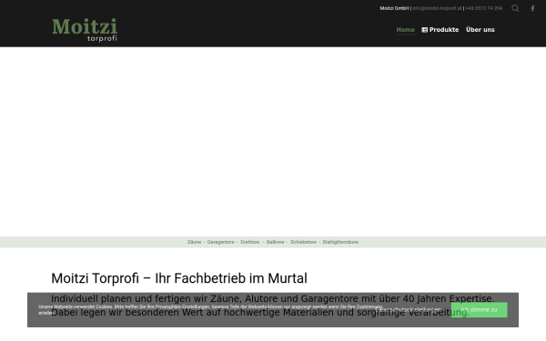 www.moitzi-torprofi.at
