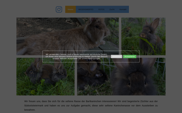 bartkaninchen.at