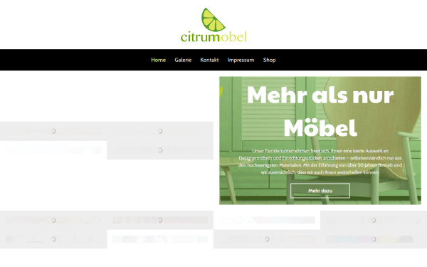 www.moebel-halser.de