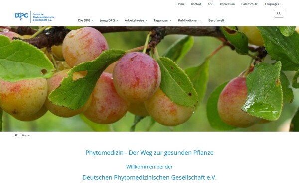 phytomedizin.org